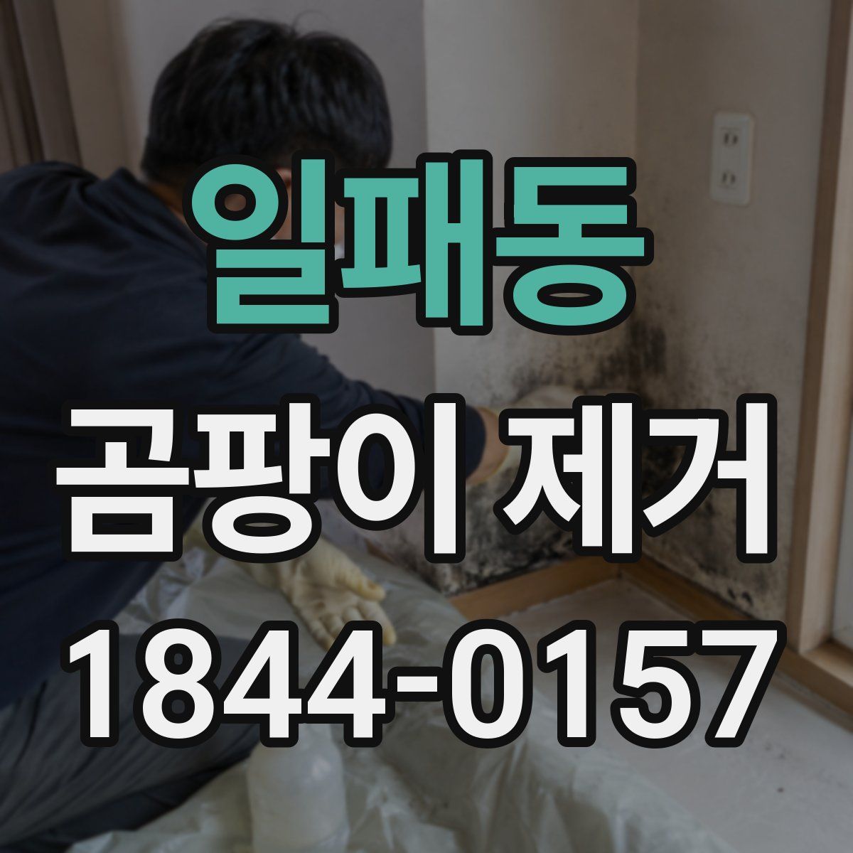 일패동 곰팡이 제거