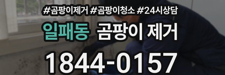 일패동 곰팡이 제거