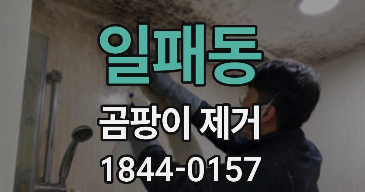 일패동 곰팡이 제거