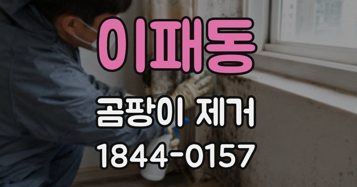 이패동 곰팡이 제거