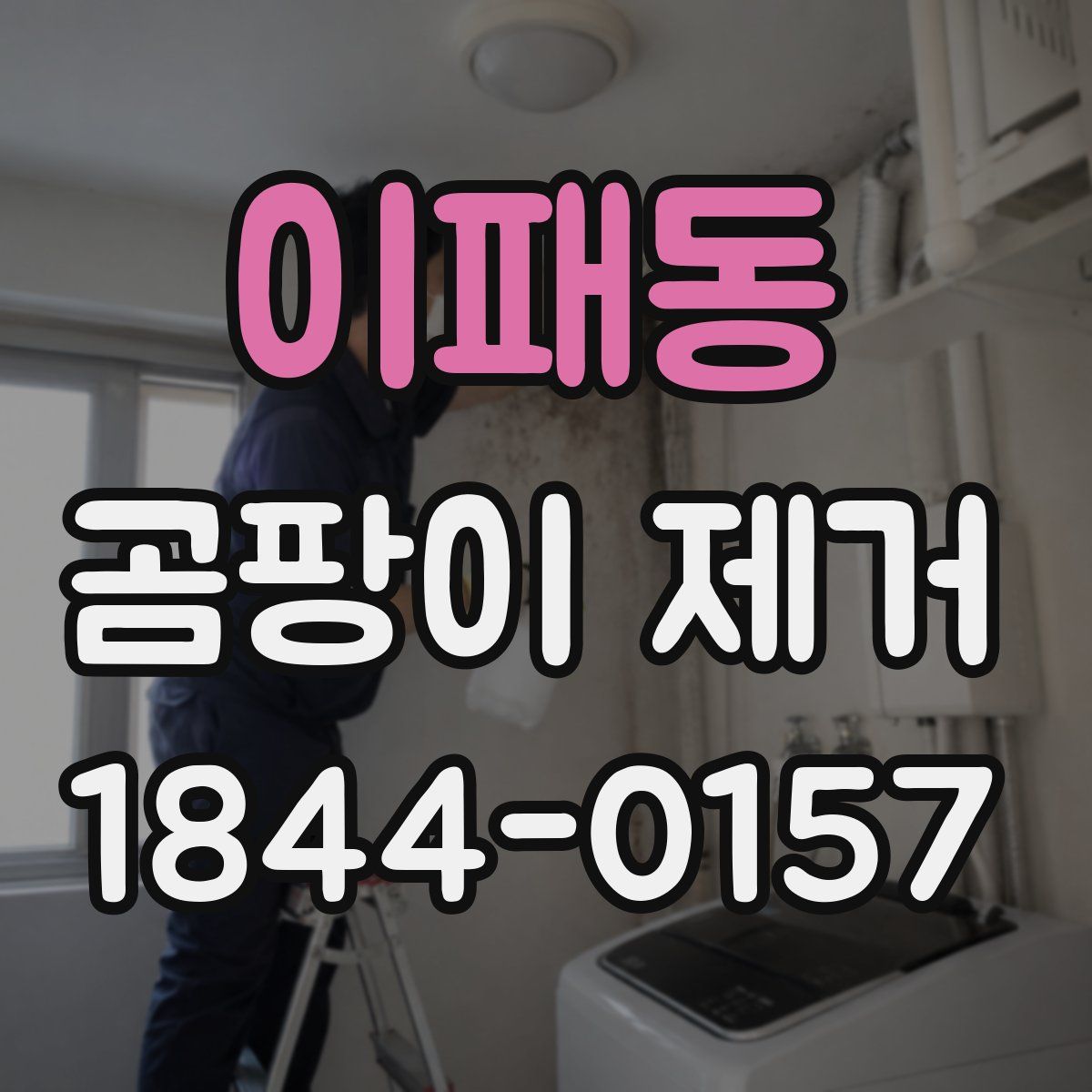 이패동 곰팡이 제거