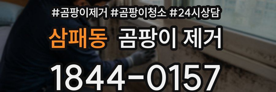 삼패동 곰팡이 제거