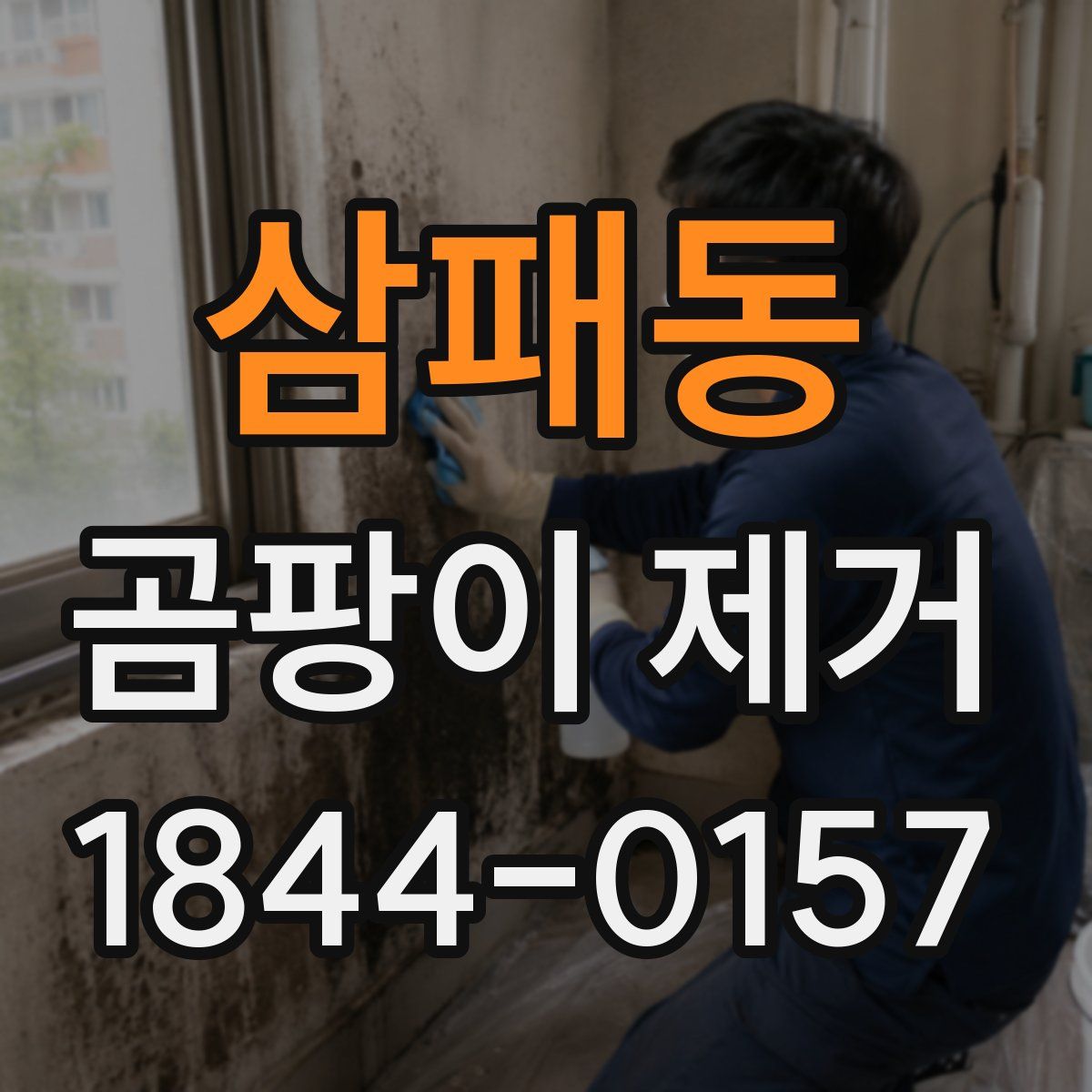 삼패동 곰팡이 제거