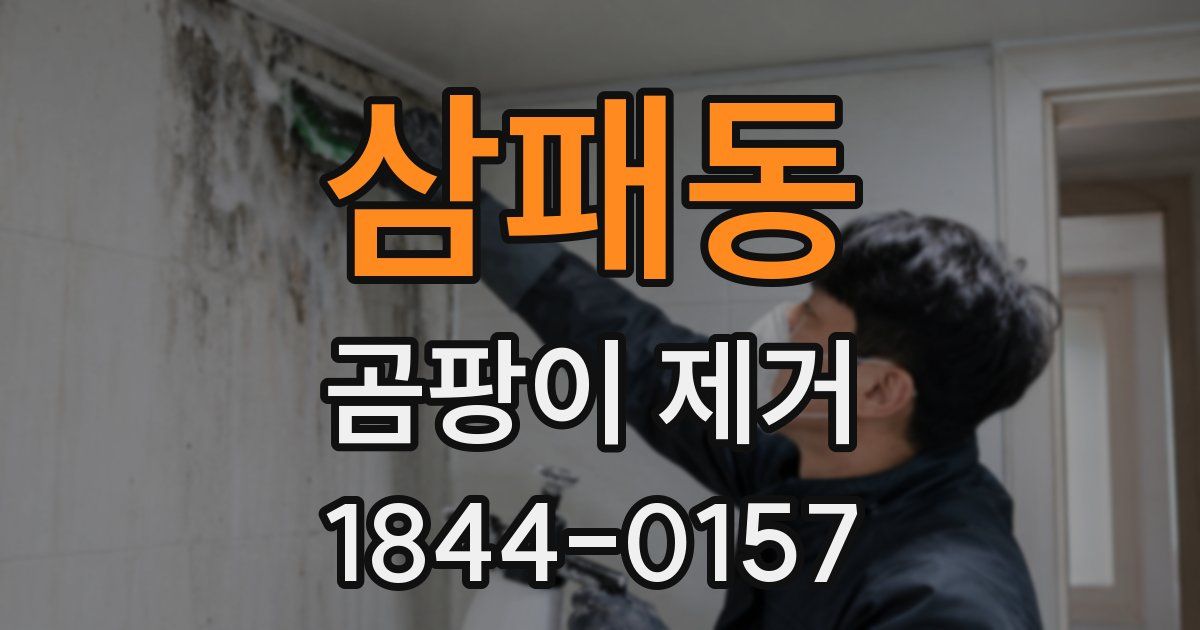 삼패동 곰팡이 제거