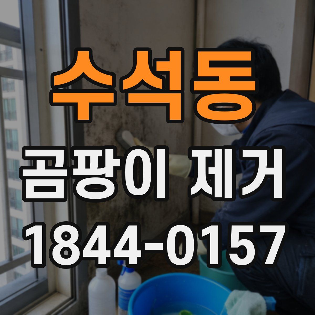 수석동 곰팡이 제거