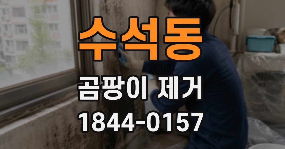 수석동 곰팡이 제거