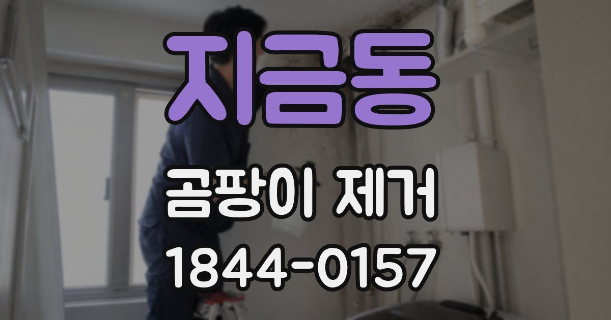 지금동 곰팡이 제거