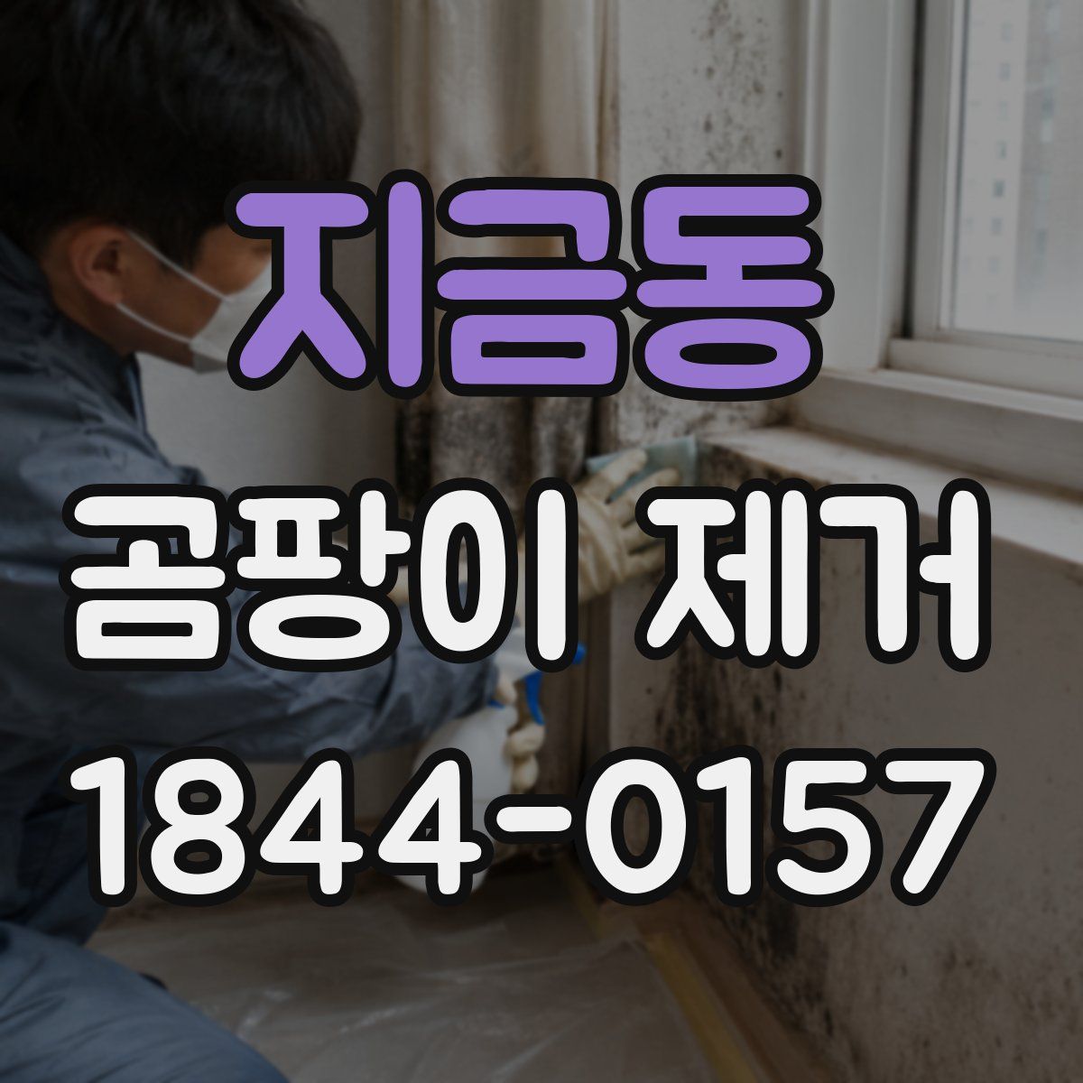 지금동 곰팡이 제거