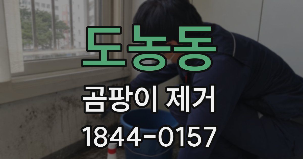 도농동 곰팡이 제거