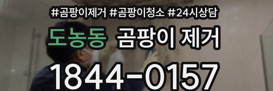 도농동 곰팡이 제거