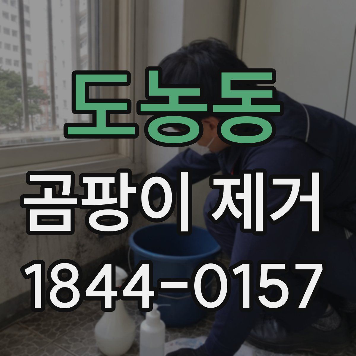 도농동 곰팡이 제거