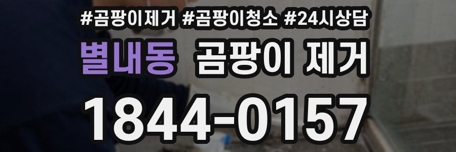 별내동 곰팡이 제거