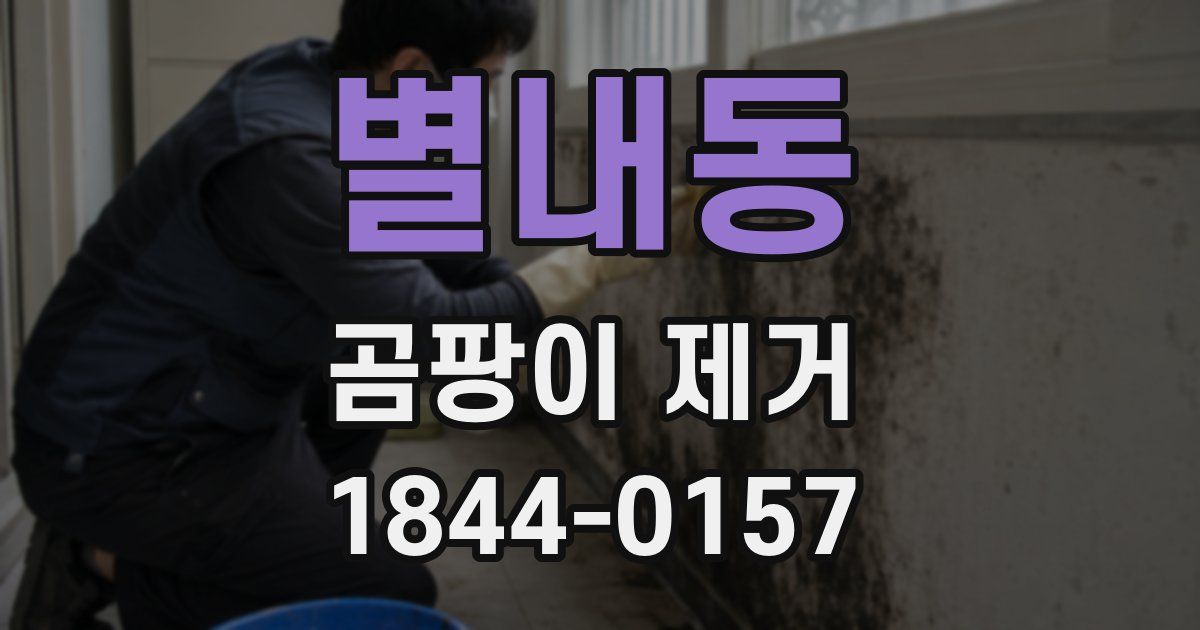 별내동 곰팡이 제거