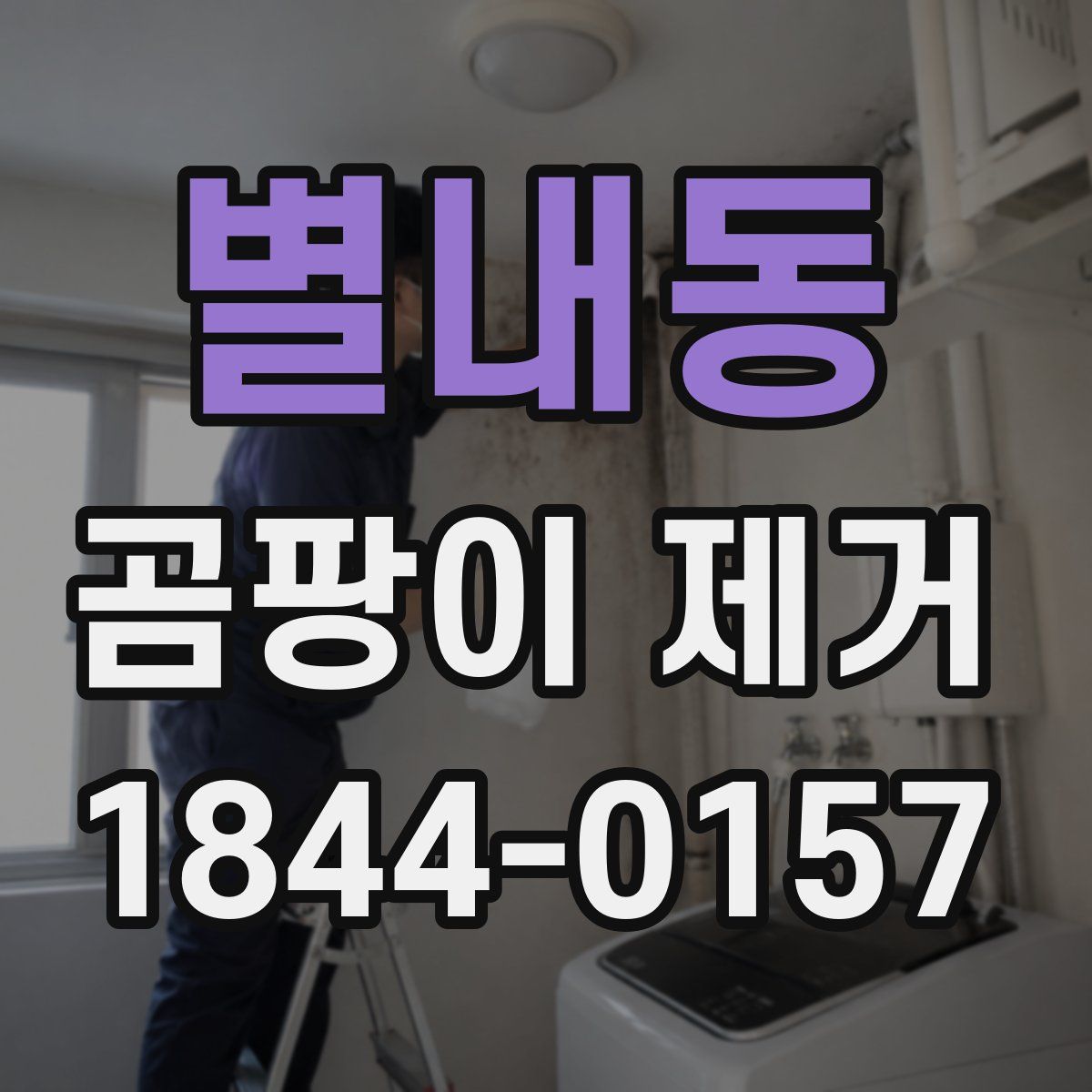 별내동 곰팡이 제거