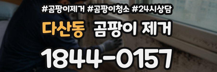 다산동 곰팡이 제거