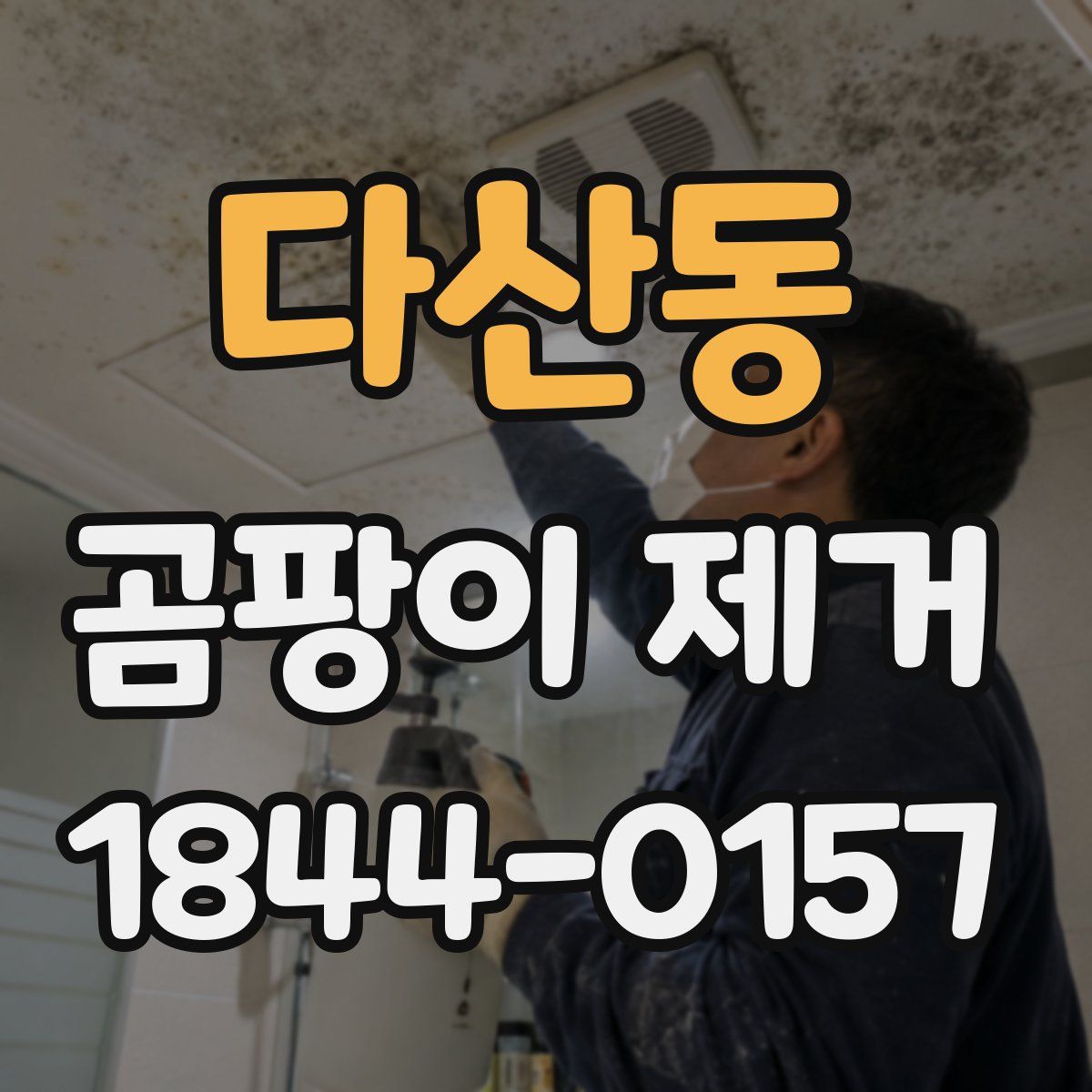 다산동 곰팡이 제거