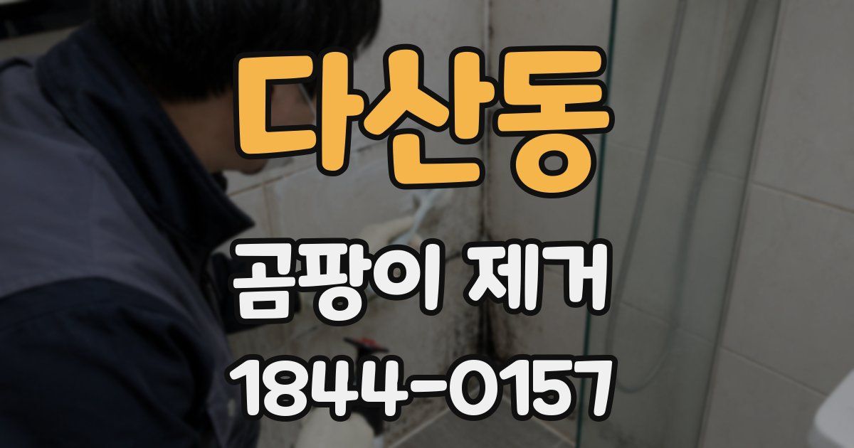 다산동 곰팡이 제거