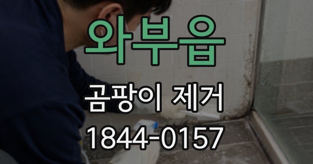 와부읍 곰팡이 제거