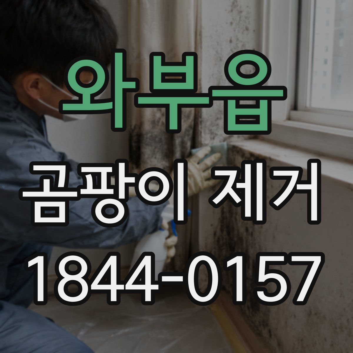 와부읍 곰팡이 제거