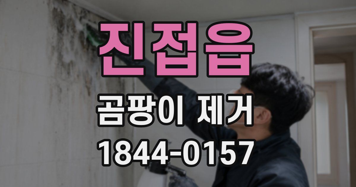 진접읍 곰팡이 제거