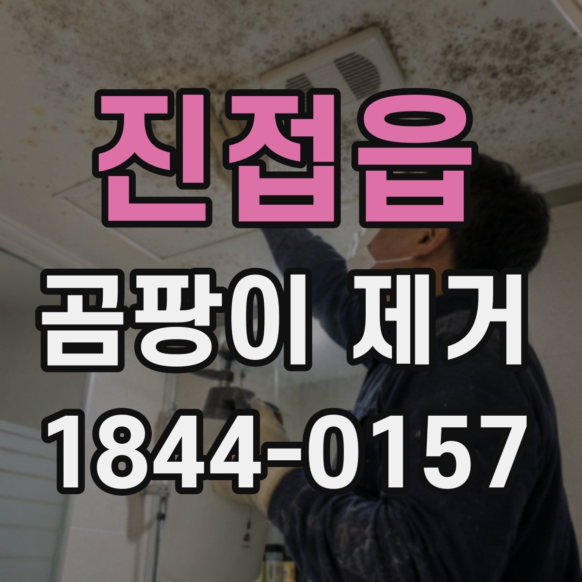 진접읍 곰팡이 제거