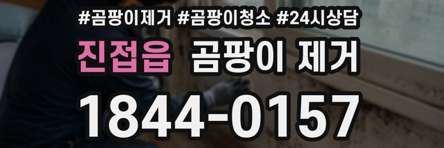 진접읍 곰팡이 제거