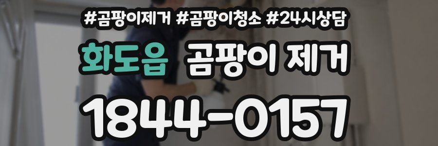 화도읍 곰팡이 제거