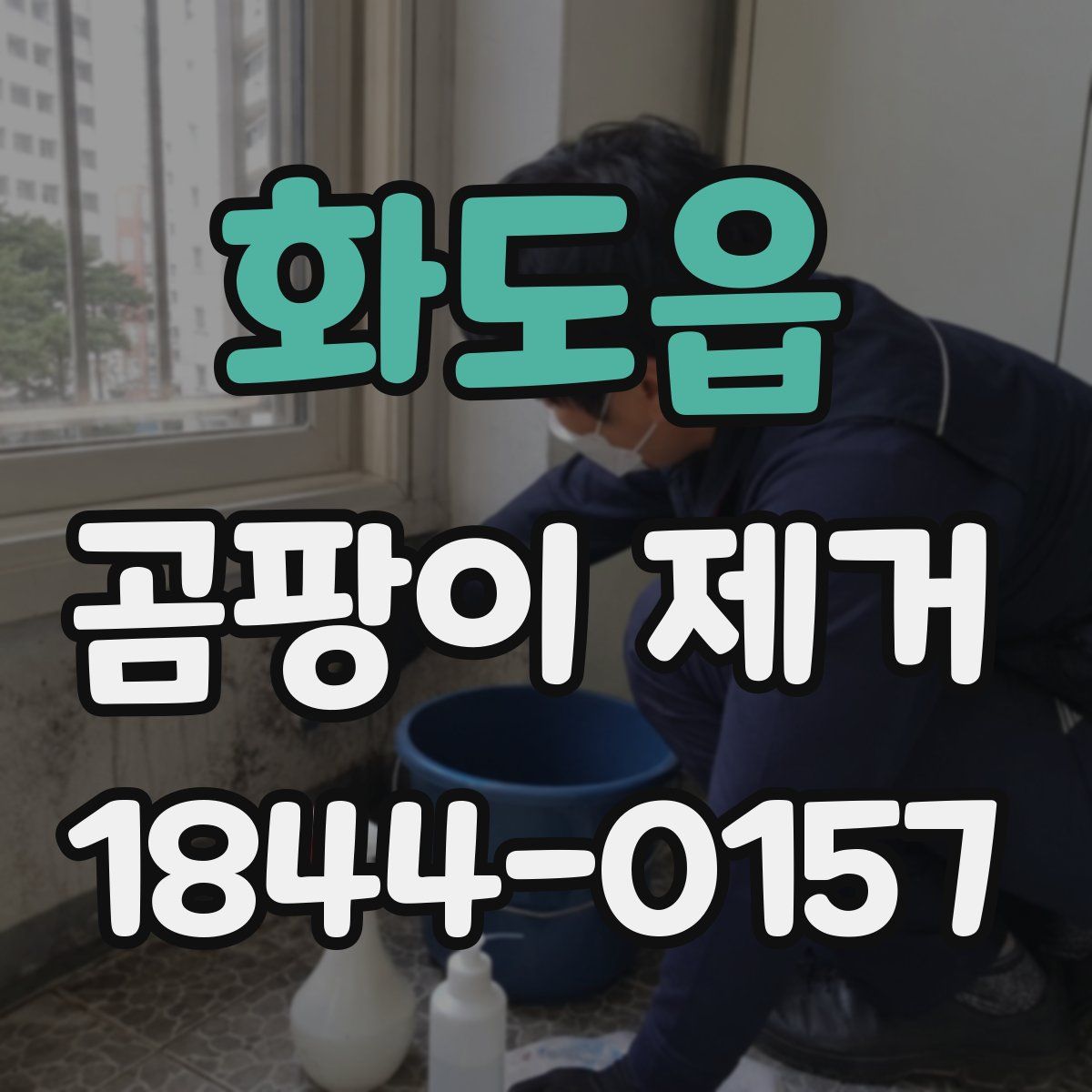 화도읍 곰팡이 제거