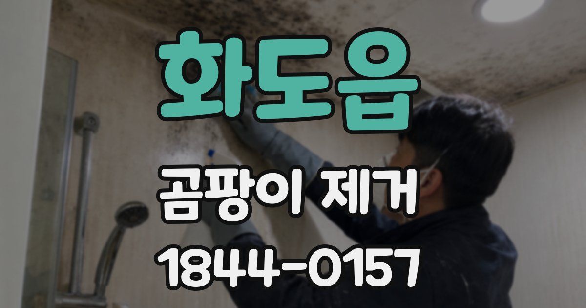 화도읍 곰팡이 제거