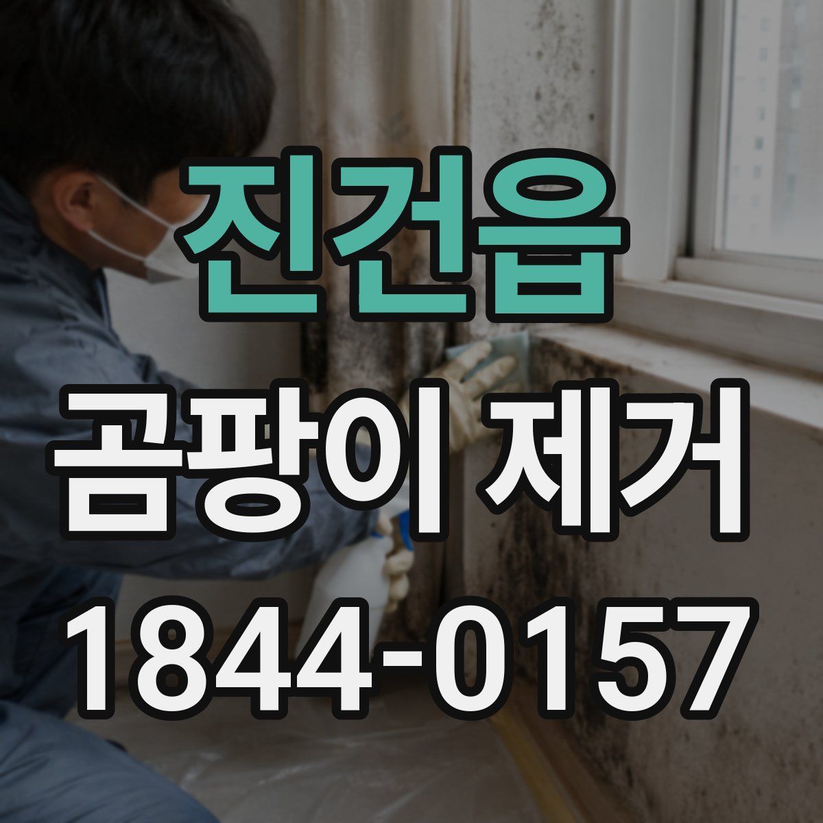 진건읍 곰팡이 제거