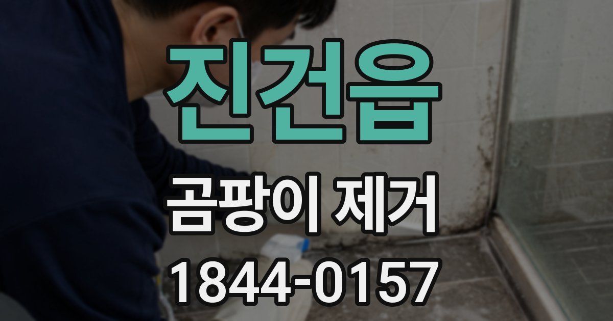 진건읍 곰팡이 제거