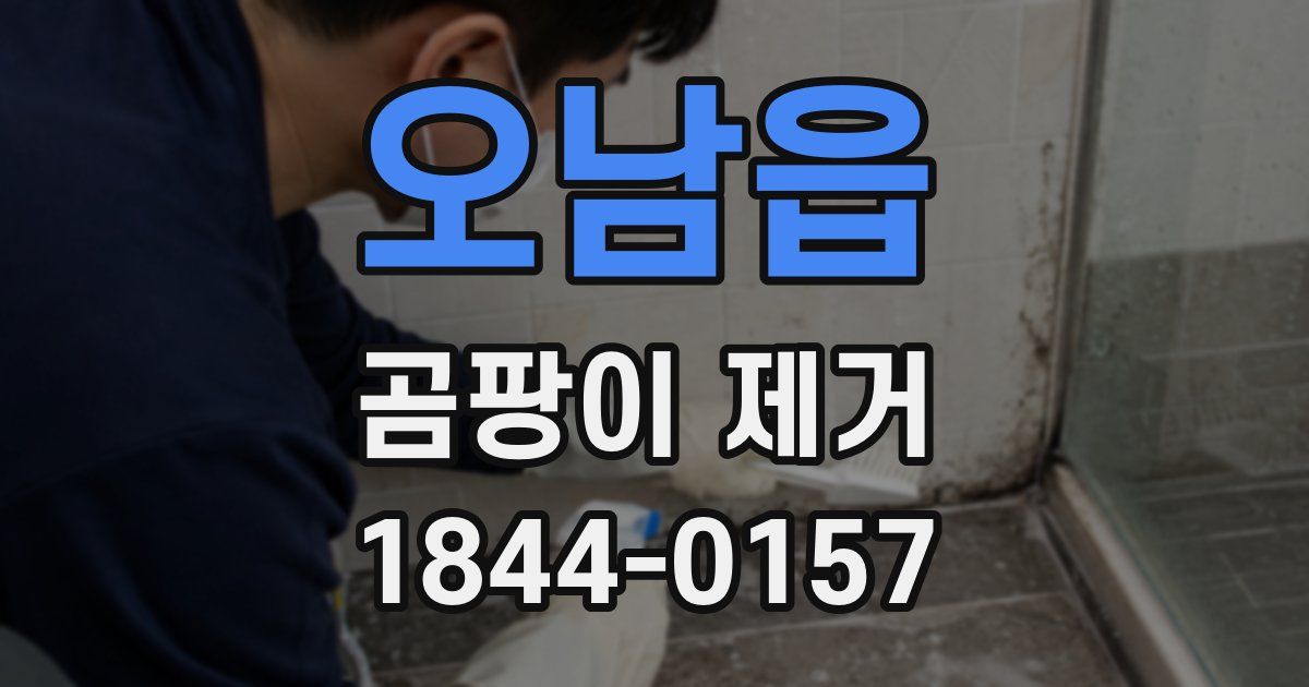 오남읍 곰팡이 제거