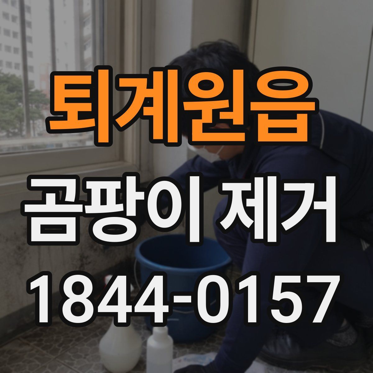 퇴계원읍 곰팡이 제거