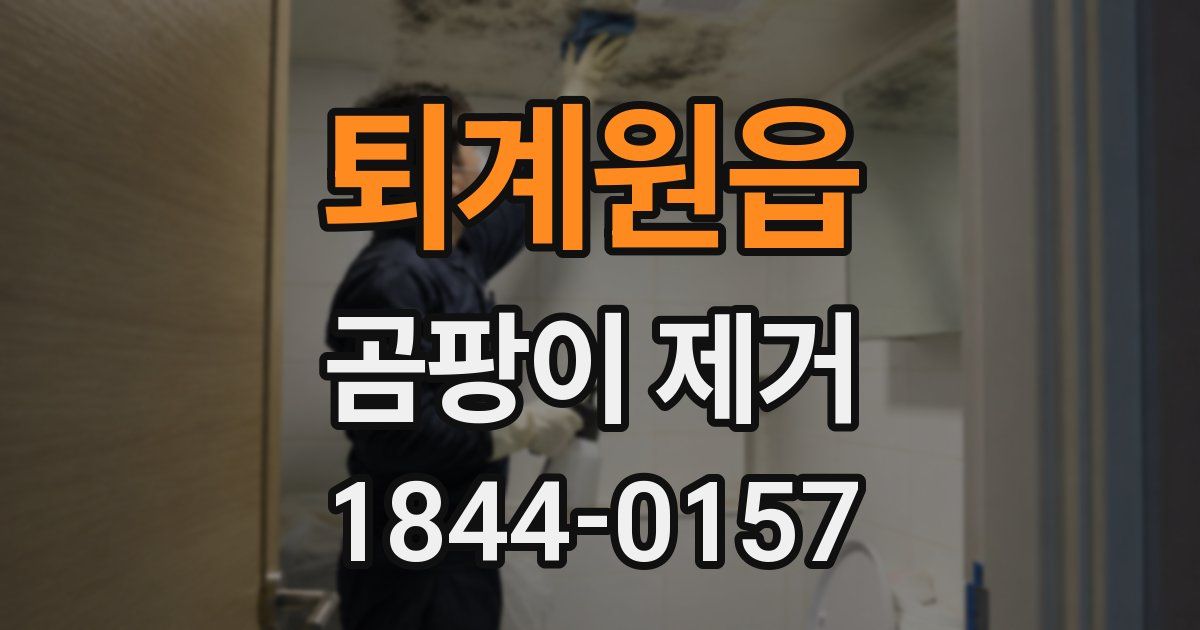 퇴계원읍 곰팡이 제거