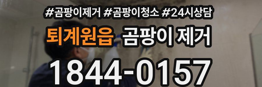 퇴계원읍 곰팡이 제거