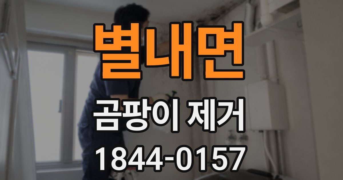 별내면 곰팡이 제거