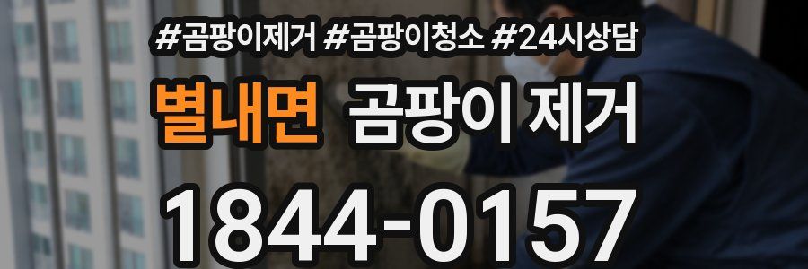 별내면 곰팡이 제거