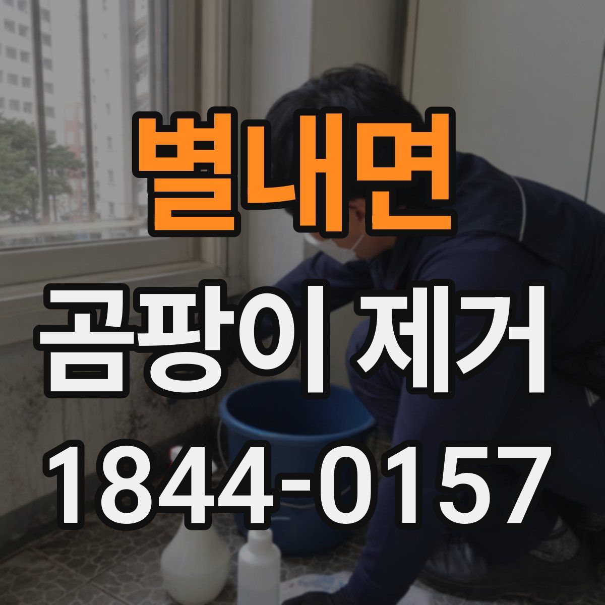 별내면 곰팡이 제거