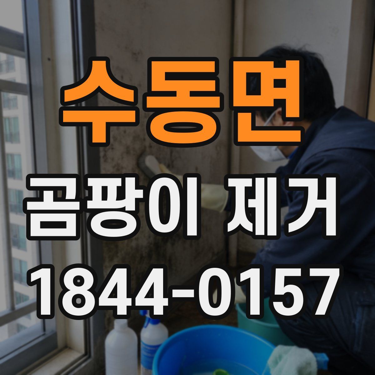 수동면 곰팡이 제거