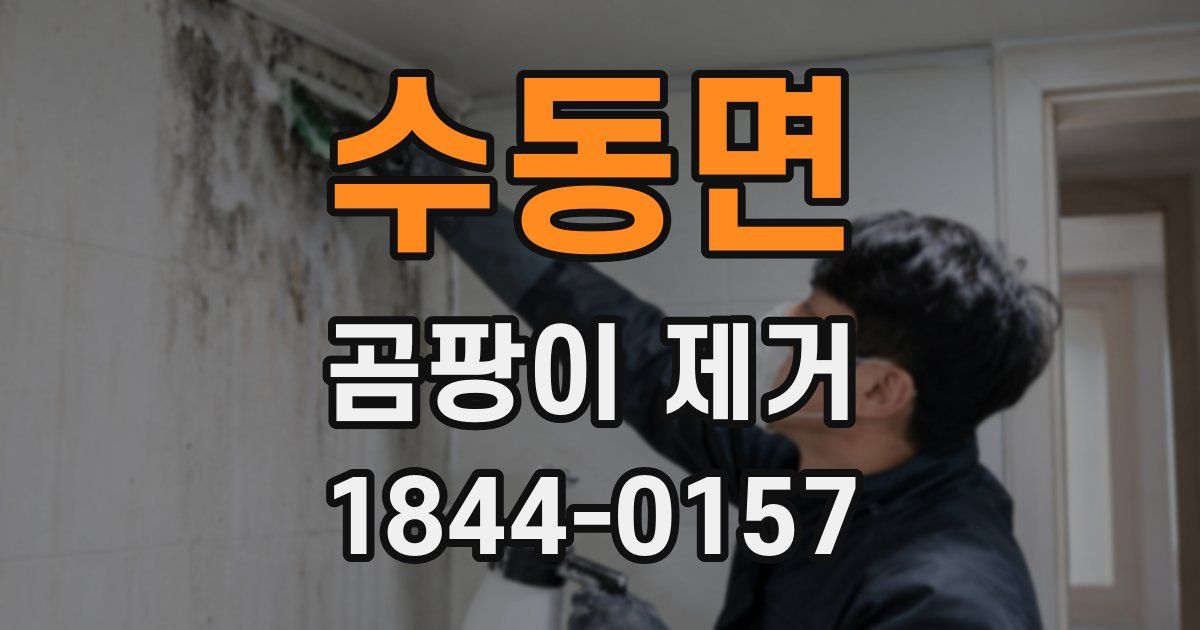 수동면 곰팡이 제거