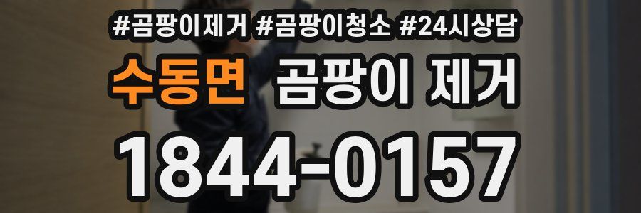 수동면 곰팡이 제거