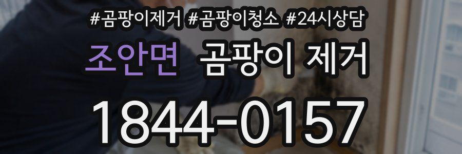 조안면 곰팡이 제거