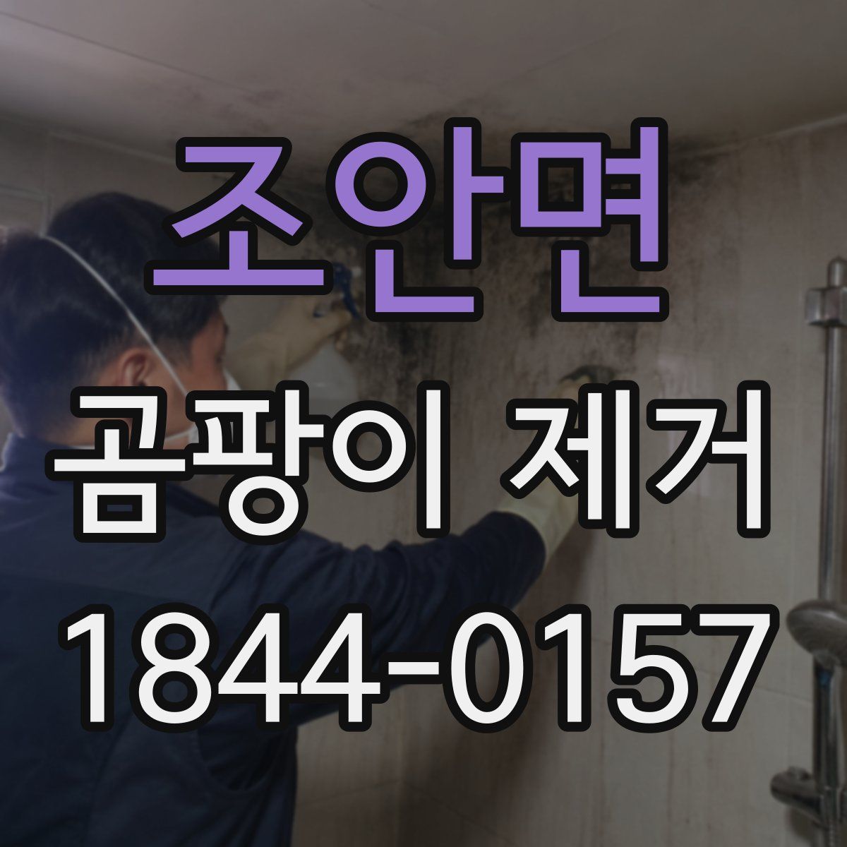 조안면 곰팡이 제거