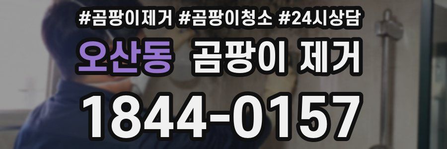 오산동 곰팡이 제거