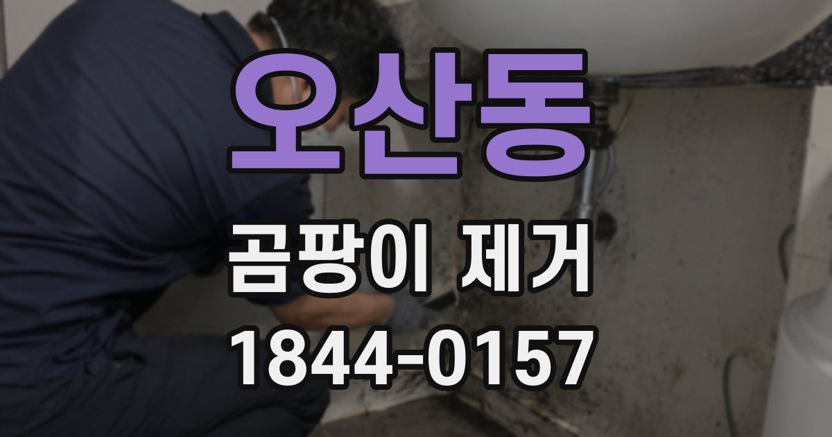 오산동 곰팡이 제거