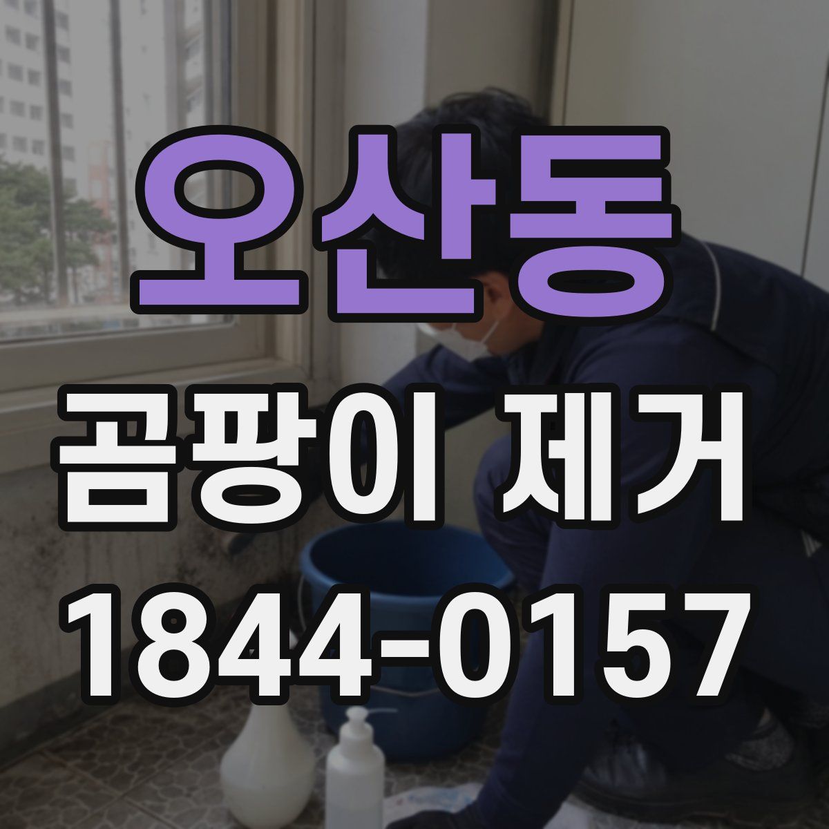 오산동 곰팡이 제거