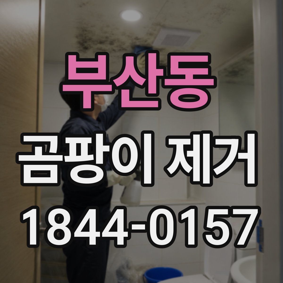 부산동 곰팡이 제거