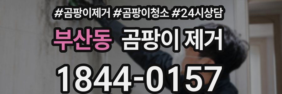 부산동 곰팡이 제거