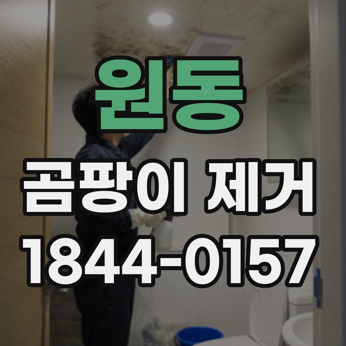원동 곰팡이 제거 도배 전 손상 구간을 구분하는 방법