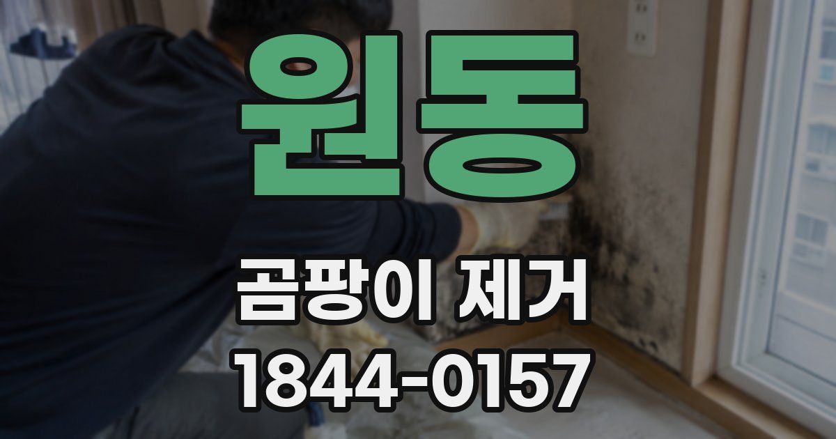 원동 곰팡이 제거